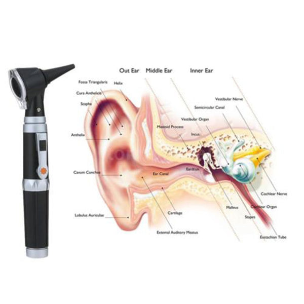 An otoscope or auriscope is a medical device which is used to look into the  ears. Realistic vector illustration of medical otoscope Stock Illustration